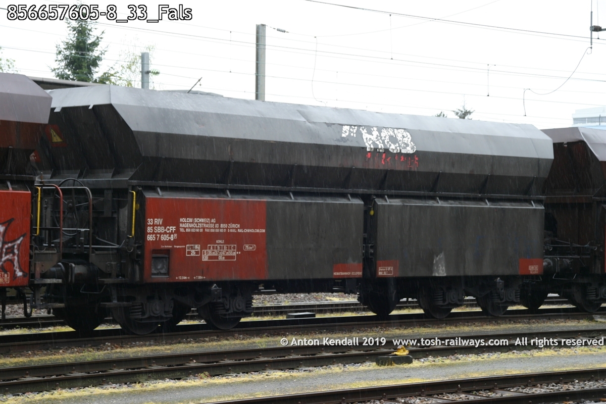 856657605-8_33_Fals.jpg